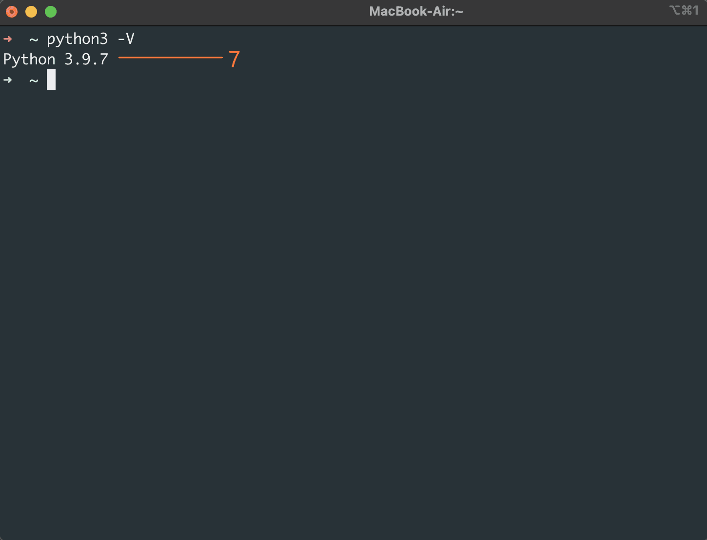 Verify Python Installation on Mac.png